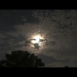 Meet your Posher, Chanel